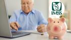 ¿Cuál será la pensión mínima del IMSS en 2026 para los beneficiarios? (FOTO): Especial.