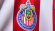 La plantilla de Chivas para el Apertura 2025.