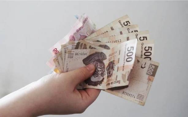 Muchas prestaciones son económicas (Especial)
