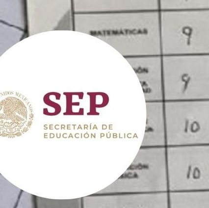 Consecuencias de no descargar o recoger la boleta de calificaciones SEP este 2025. (FOTO): Especial.