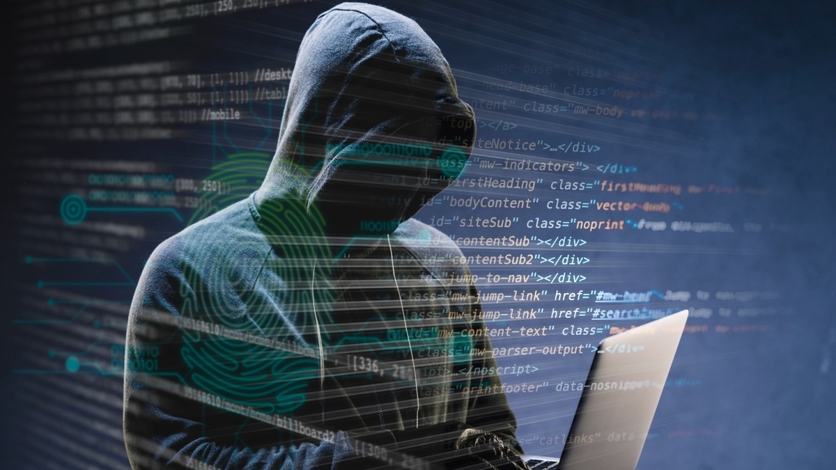 Sigue estos pasos si fuiste víctima de fraude digital durante el Hot Sale 2025. Foto: Freepik