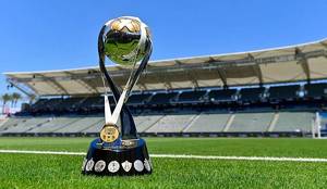 Trofeo del Campeón de Campeones (Liga MX)