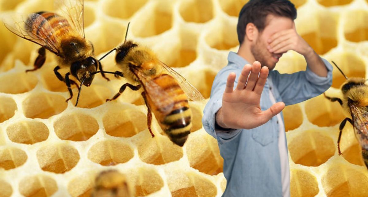 ¿La tripofobia puede causar ansiedad? Te explicamos