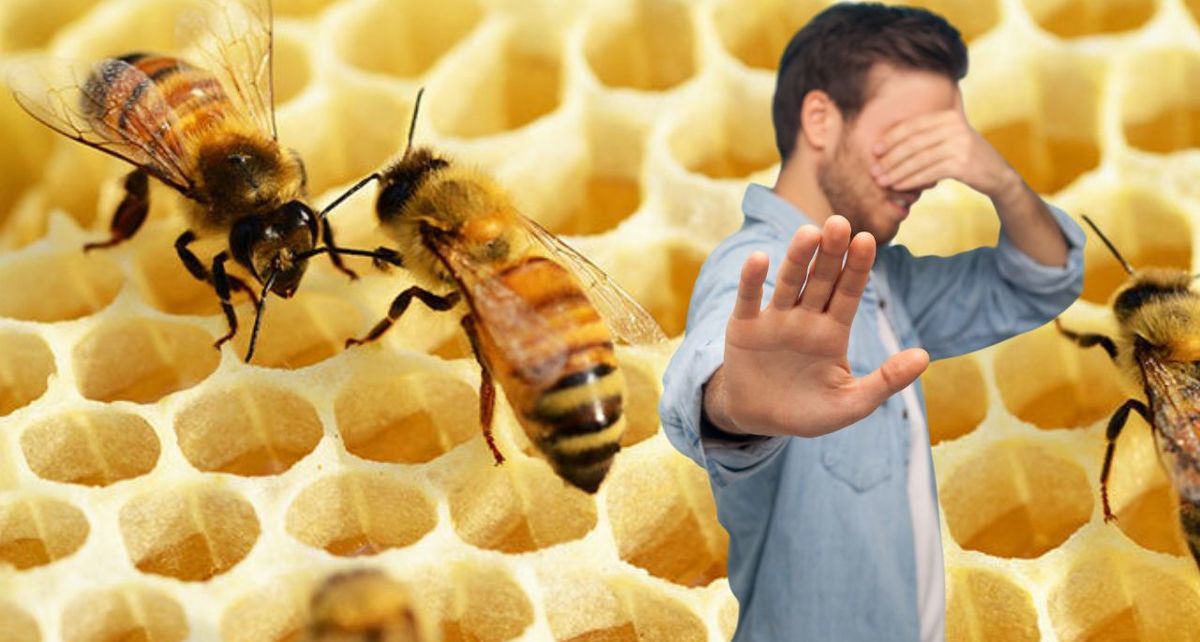 ¿La tripofobia puede causar ansiedad? Te explicamos