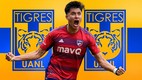 Los felinos se siguen reforzando, cuando el torneo ya ha comenzado.