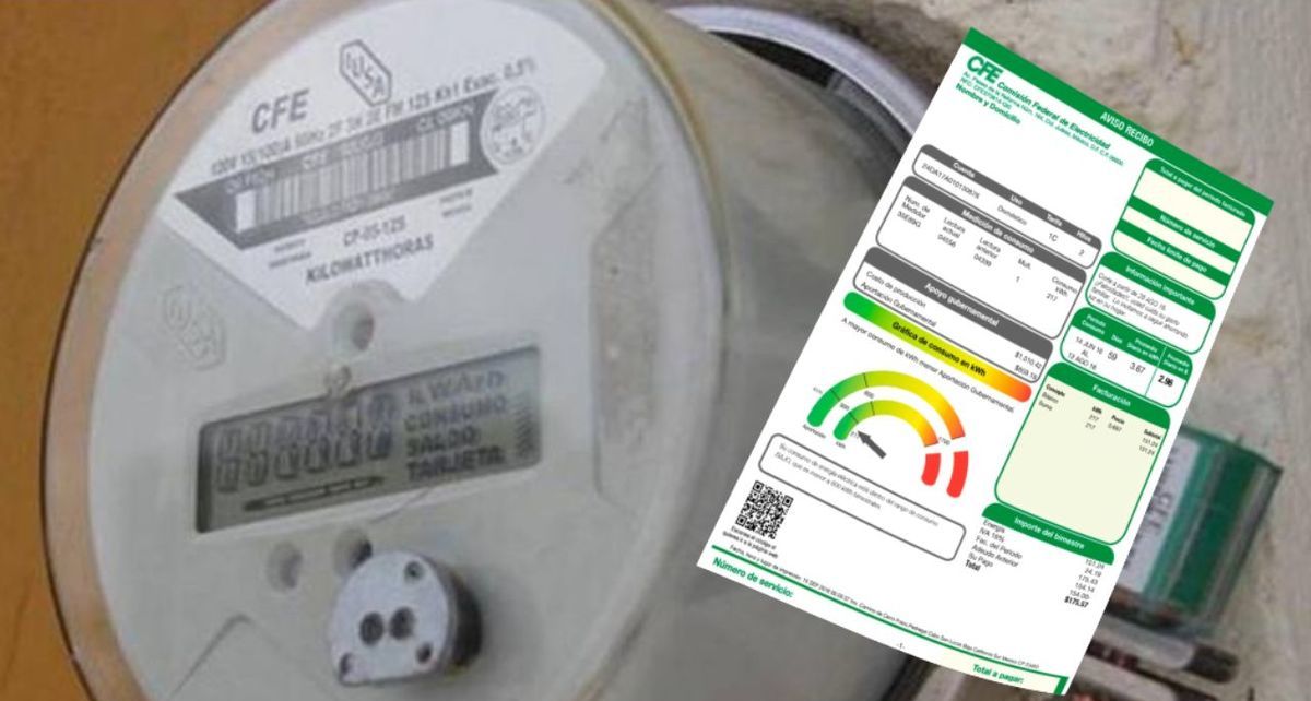 Cambio de titular en el recibo de luz CFE: ¿cuándo se debe hacer y qué documentos se solicitan? (FOTO): Especial.