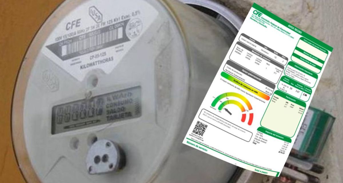 Cambio de titular en el recibo de luz CFE: ¿cuándo se debe hacer y qué documentos se solicitan? (FOTO): Especial.