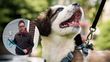 Educador canino explica cómo identificar si tu perro sufre durante sus paseos, de acuerdo a la tensión de su correa. (FOTO): Especial.