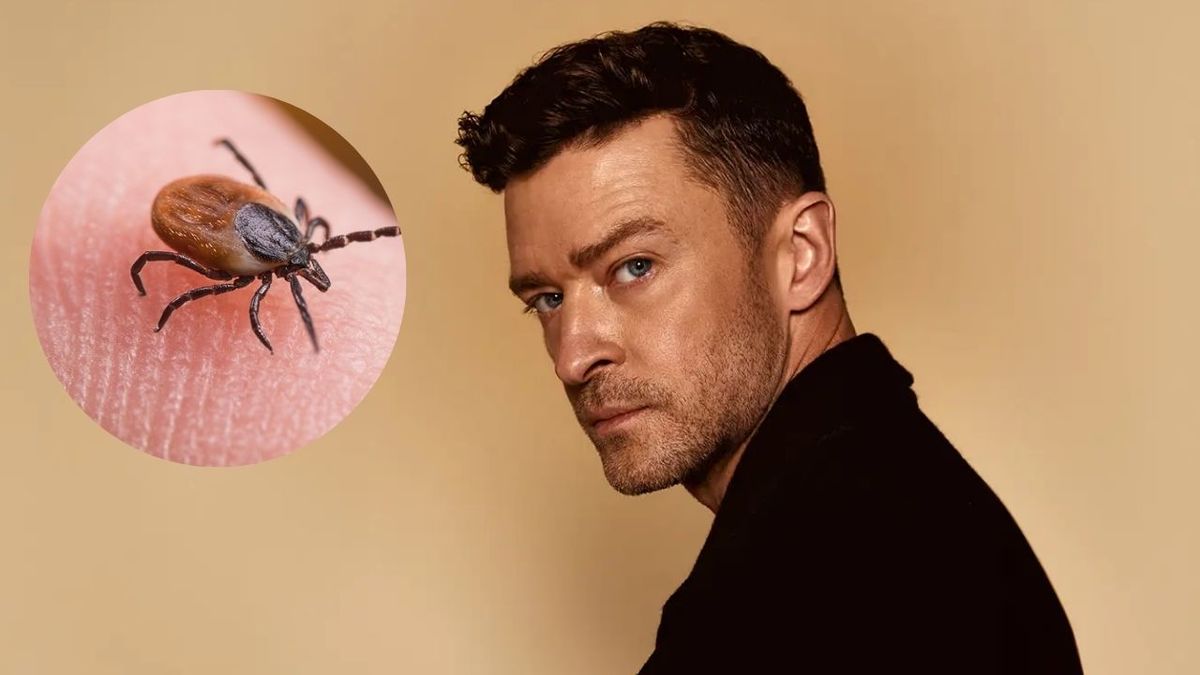  qu es el lyme enfermedad que tiene justin timberlake 
