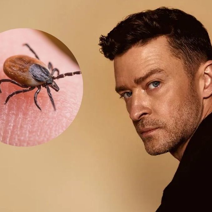 ¿Qué es el Lyme, enfermedad que tiene Justin Timberlake?