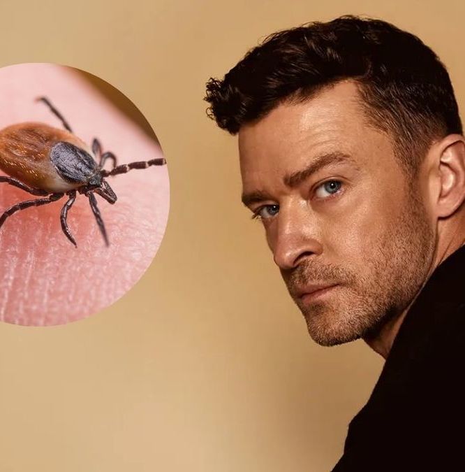 ¿Qué es el Lyme, enfermedad que tiene Justin Timberlake?