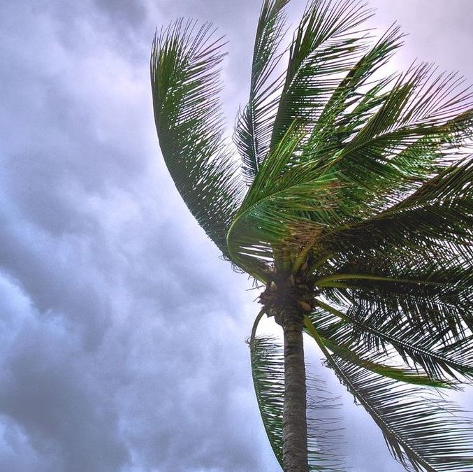 Conoce la posición actual, vientos máximos y pronóstico de la tormenta tropical Dexter este 4 de agosto
