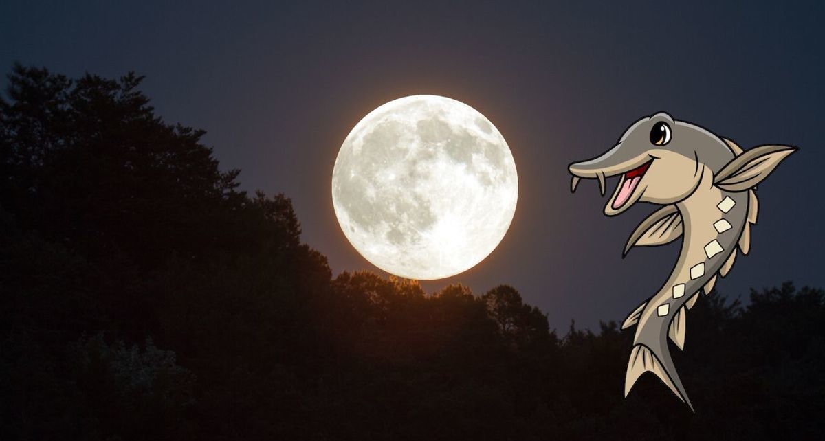 Cuándo se verá la  Luna de Esturión en México? Te decimos
