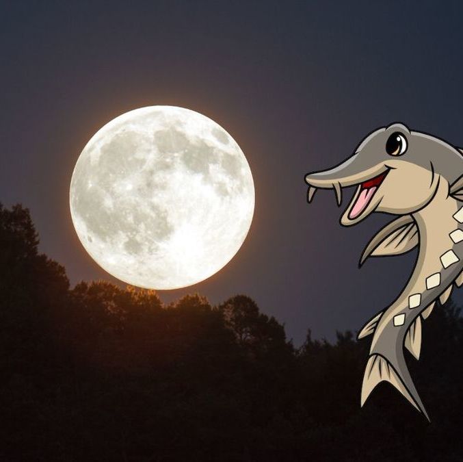 Cuándo se verá la  Luna de Esturión en México? Te decimos