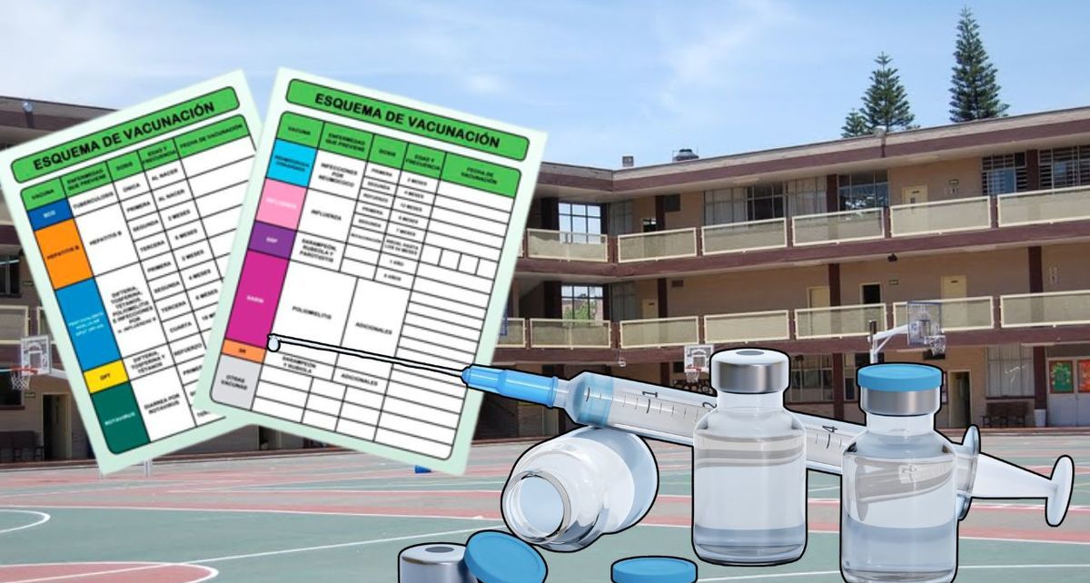 Estas son las vacunas que exige la SEP para el regreso a clases 2025-2026