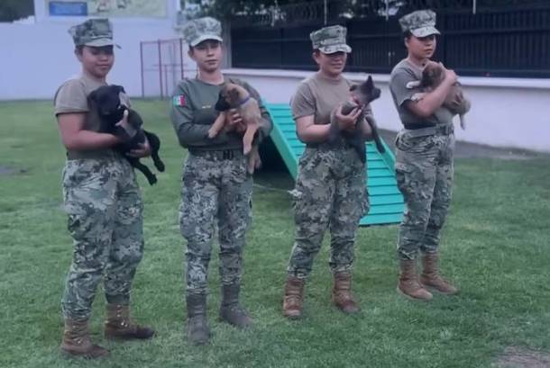 Cachorros de Generación FIFA (Secretaría de Marina)