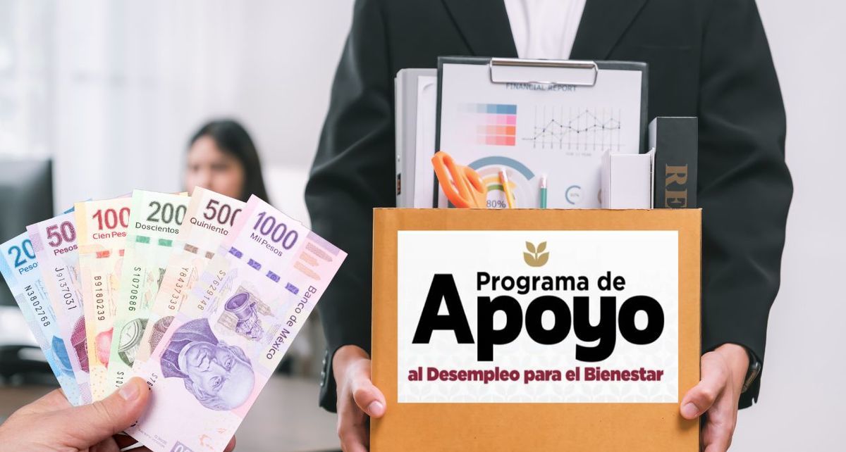 ¿Cómo registrarte al Apoyo al Desempleo Bienestar y recibir $15,000?