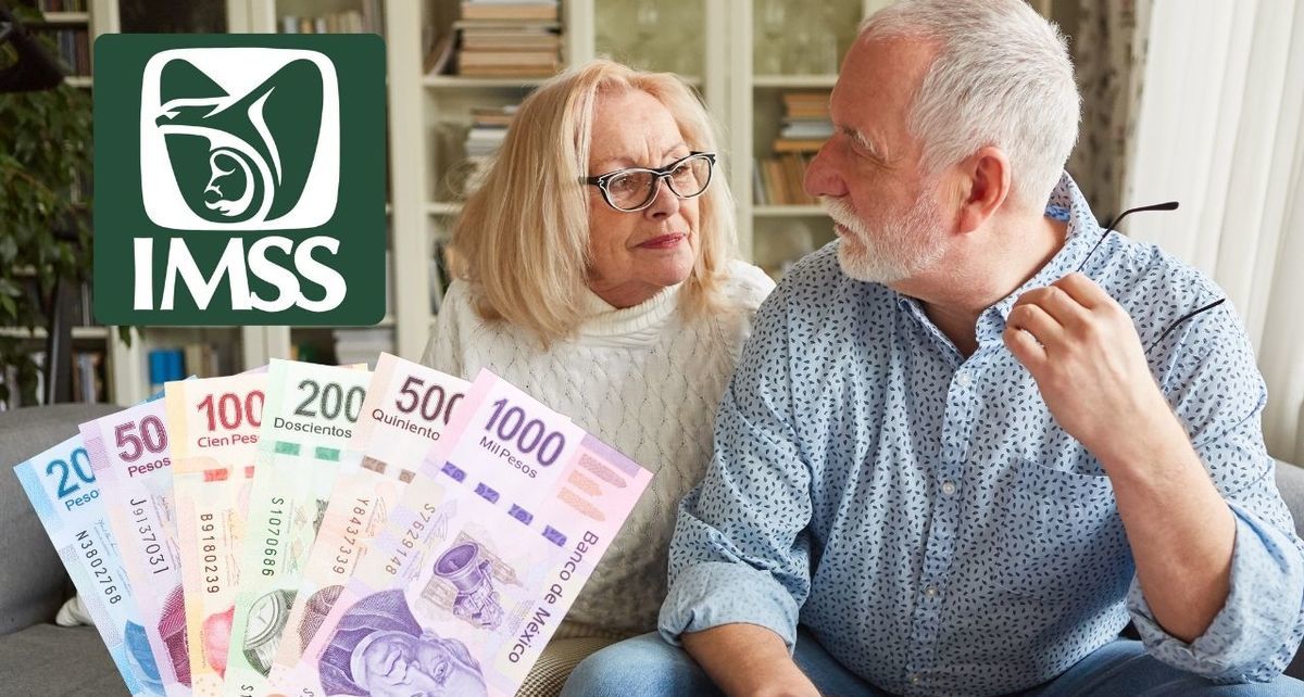 ¿Quieres obtener una pensión vitalicia del IMSS en 2025? Estos son los requisitos con los que debes cumplir. (FOTO): Especial.