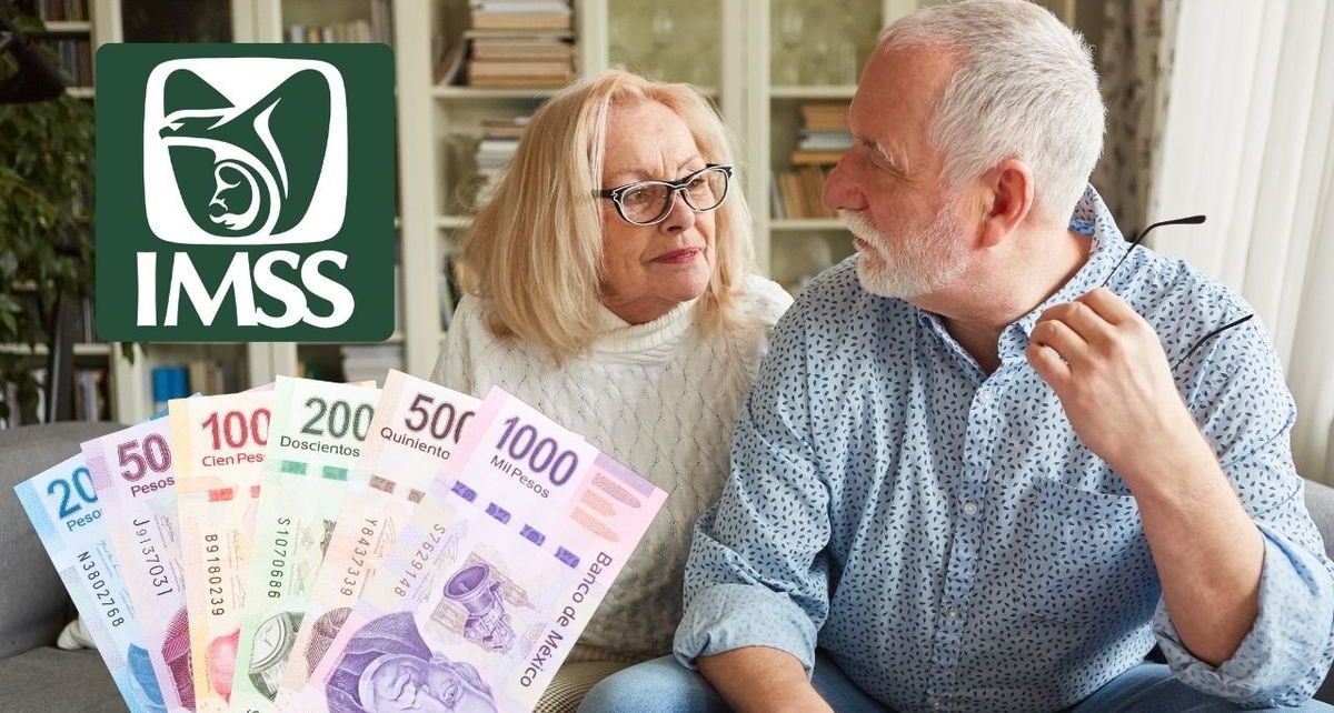 ¿Quieres obtener una pensión vitalicia del IMSS en 2025? Estos son los requisitos con los que debes cumplir. (FOTO): Especial.