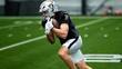 Tommy Mellott, nuevo receptor de Las Vegas (Raiders)
