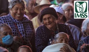 Conoce como puedes obtener la Pensión vitalicia del IMSS; requerimientos y monto total.