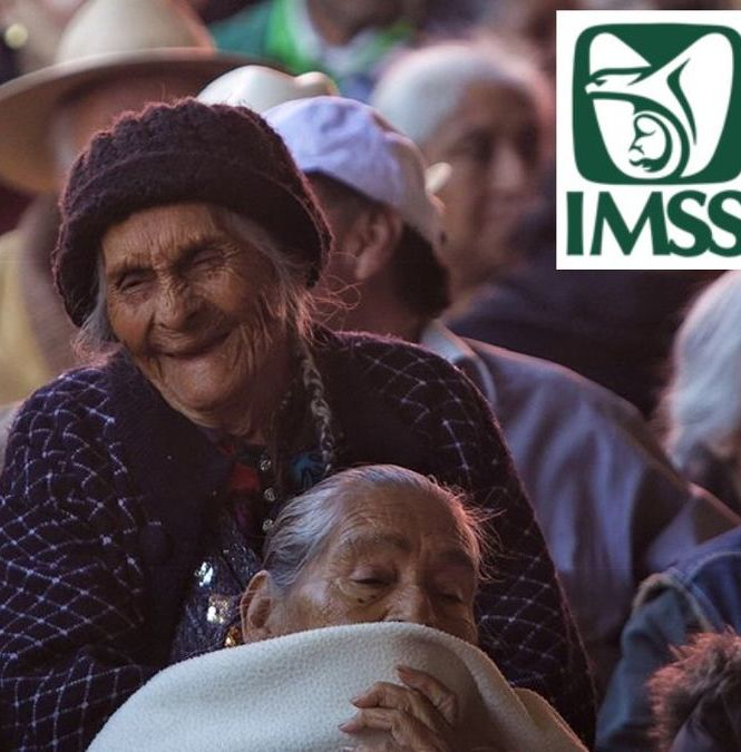 Conoce como puedes obtener la Pensión vitalicia del IMSS; requerimientos y monto total.