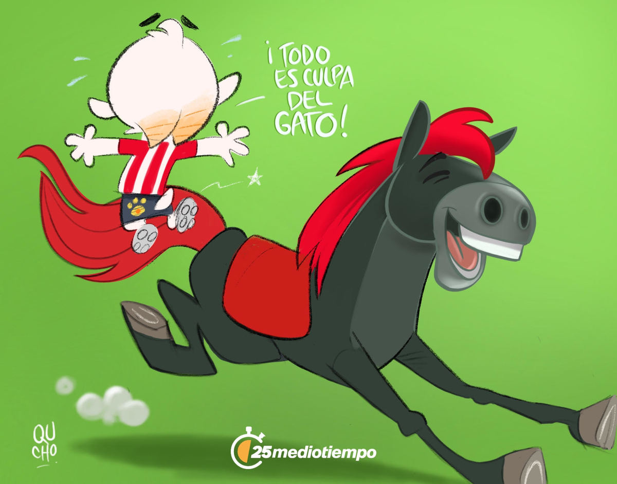 ¡Todo es culpa del gato!