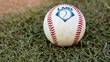 La LMB sigue avanzando en sus Playoffs (Liga Mexicana de Beisbol)