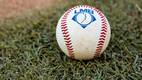 La LMB sigue avanzando en sus Playoffs (Liga Mexicana de Beisbol)