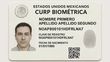 CURP Biométrica: Estos son los documentos necesarios para tramitarla (FOTO: mediotiempo IA)