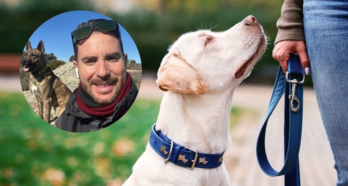 Víctor Mañero, adiestrador de perros, comparte la clave para no cofundir el cariño con educación en perros. (FOTO): Especial.