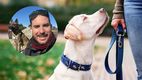 Víctor Mañero, adiestrador de perros, comparte la clave para no cofundir el cariño con educación en perros. (FOTO): Especial.