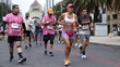 ¿Cómo cuidar a un perro que corre distancias muy largas? (Especial)