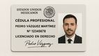 Paso a paso | Así puedes tramitar en 2025 tu célula profesional en línea fácil y rápido. (FOTO): Especial.