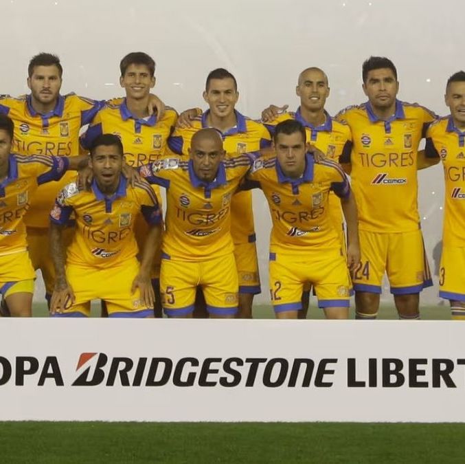 Tigres perdió la Final de Copa Libertadores en 2015. (Foto: Mexsport)