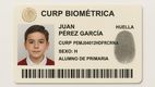 Todo sobre la CURP biométrica: requisitos, trámite y fechas clave. Foto: Especial