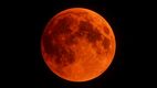 Cuándo y cómo ver Luna de Sangre, lluvias de meteoros y fases lunares septiembre 2025
