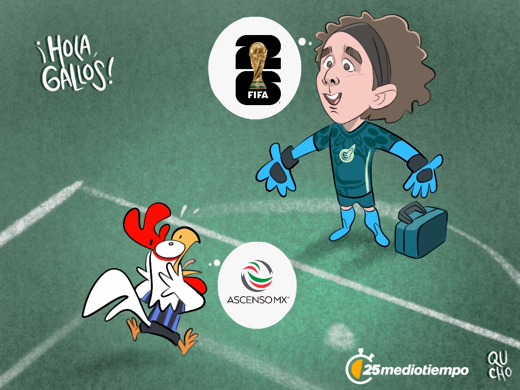 ¿Hola, Gallos?
