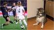 Los memes del partido México vs. Japón / Mediotiempo
