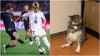 Los memes del partido México vs. Japón / Mediotiempo