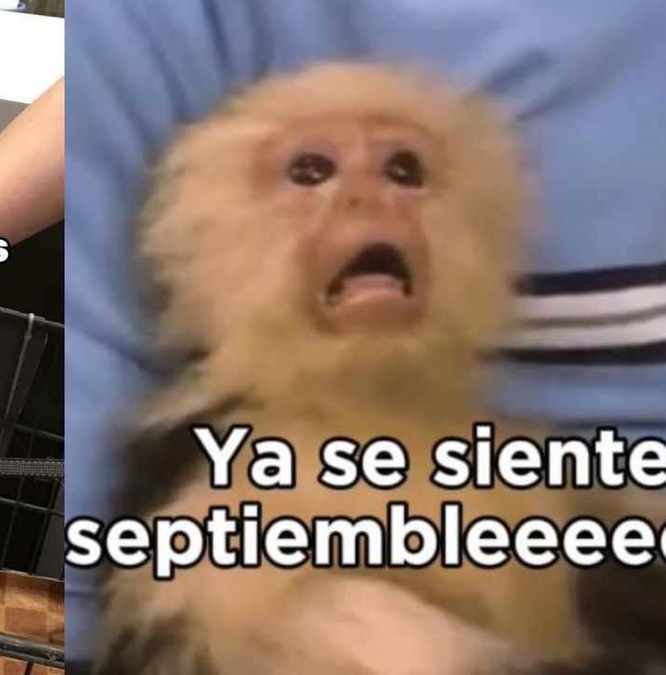 Un sismo se volvió a hacer presente en septiembre (X)