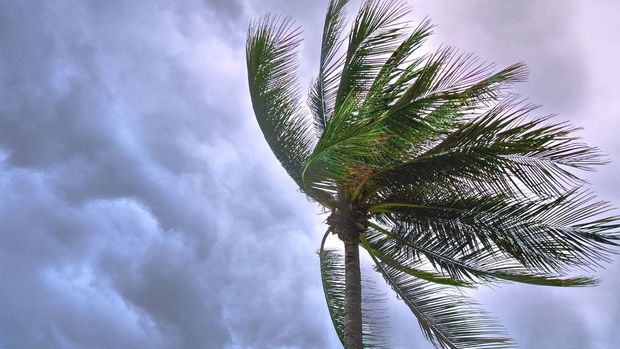 Conoce la posición actual, vientos máximos y pronóstico de la tormenta tropical Dexter este 4 de agosto