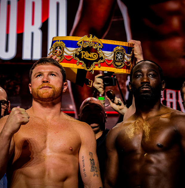 Canelo para top