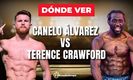 Canelo vs Crawford EN VIVO: VER transmisión pelea HOY 13 de septiembre. Foto: Especial