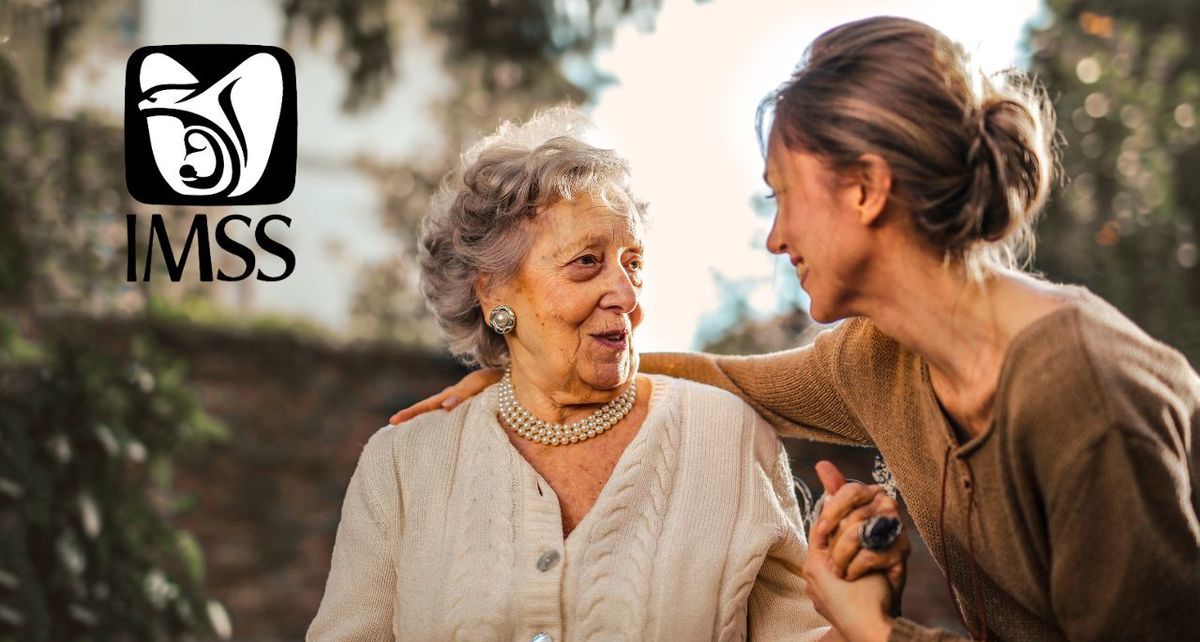 IMSS: cómo ver tus semanas cotizadas gratis desde la app móvil. Foto: Especial