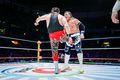 Último Guerrero
