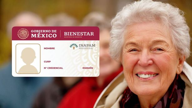 ¿Cuál es la edad necesaria para poder tramitar la credencial INAPAM en México? Te decimos. (FOTO): Especial.
