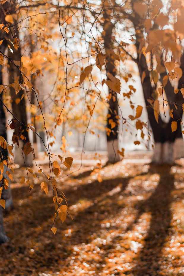 Otoño