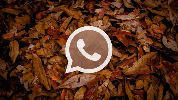 Modo Otoño en WhatsApp (FOTO: Especial / Juan Nieto)