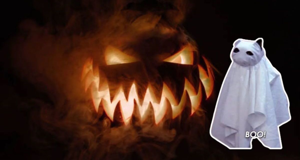 ¿Por qué es tendencia la Spooky Season en TikTok?